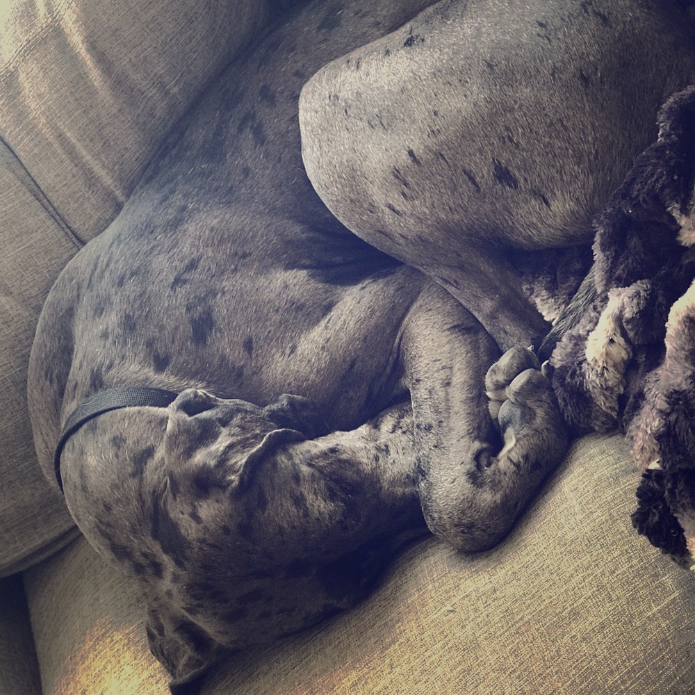 Meet your Posher, Jacqui